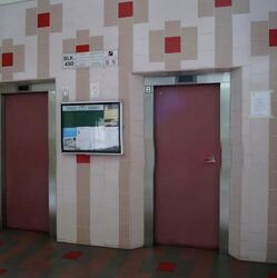 Blk 450 Hougang Avenue 10 (Hougang), HDB 5 Rooms #636450821
